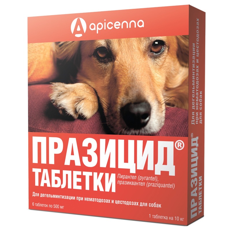 Apicenna Празицид таблетки для дегельминтизации при нематозах и цестозах у собак - 6 таблеток медведев александр лечение эмоциями эффективная методика
