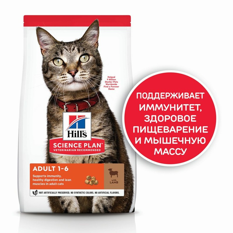 цена Hills Science Plan Cat Lamb сухой корм для кошек для поддержания жизненной энергии и иммунитета, с ягненком - 1,5