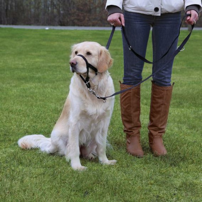 Намордник Trixie для собак тренировочный L-XL 37 см длина поводка 48-60 см trixie намордник trixie для собак 18 30 см нейлоновый